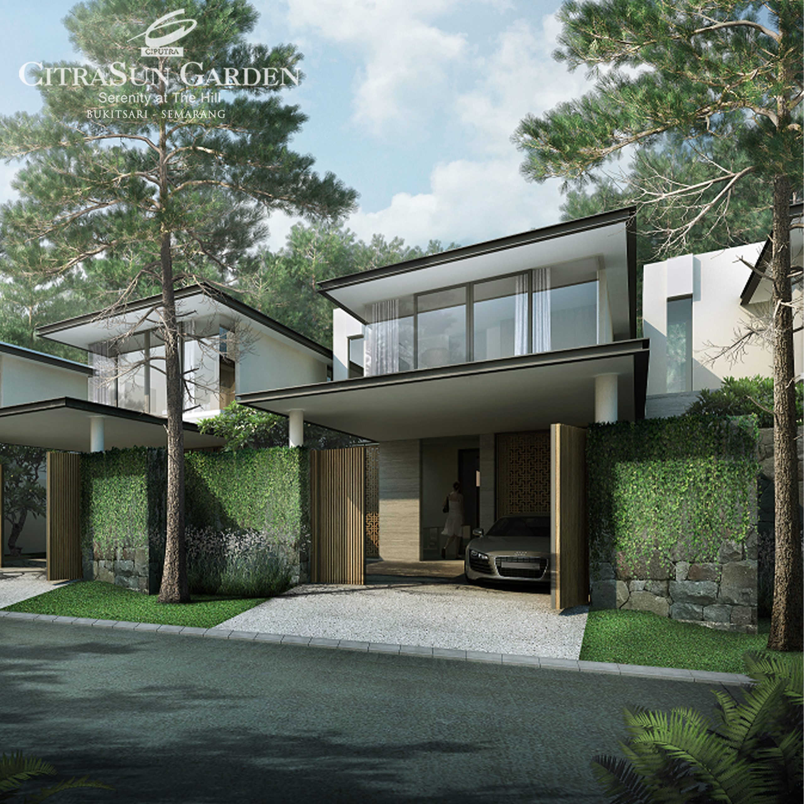 Cluster Horizon Hill